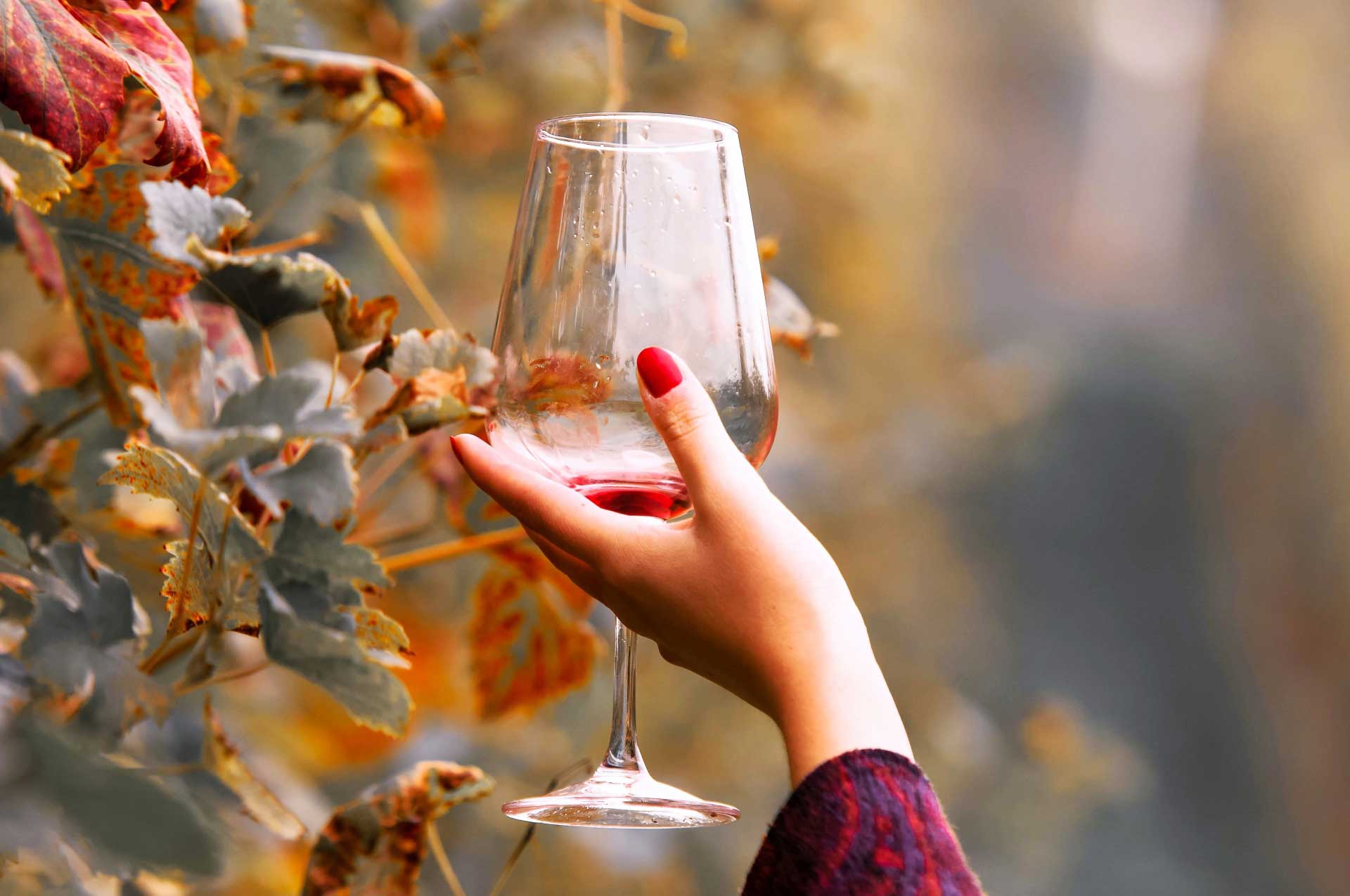 Осень вино бокалы